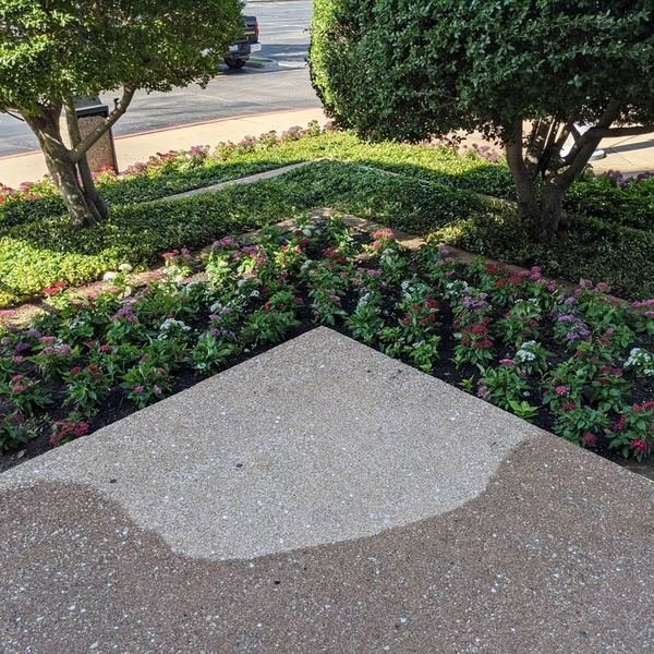 Commercial entrance planting bed