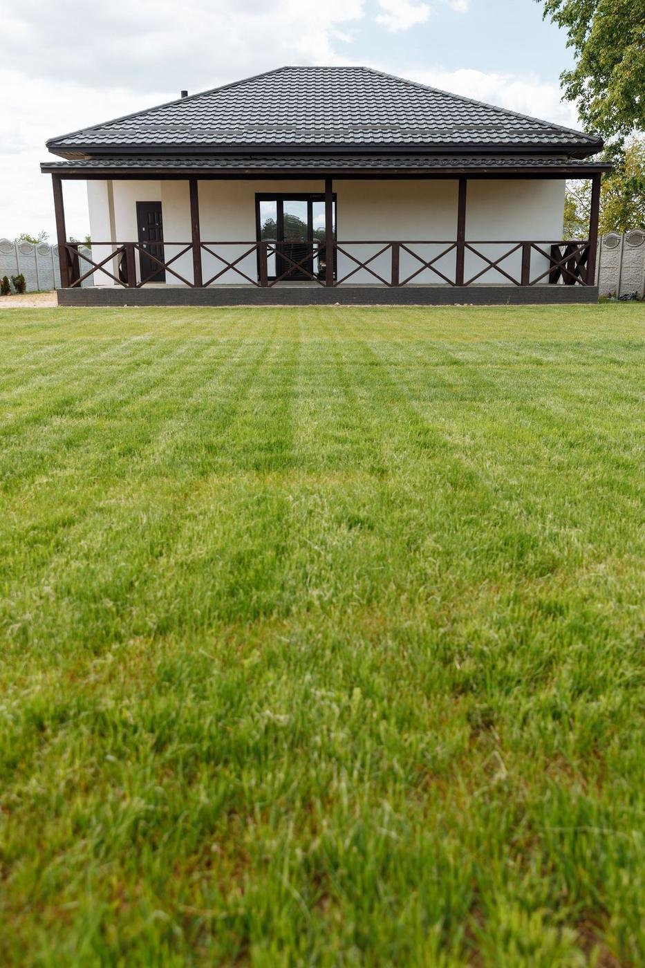 Thick, evenly striped residential lawn after aeration and overseeding